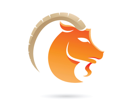Capricorn Capricorn Zodiac Sign